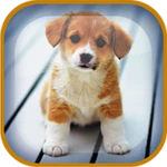 Logo of Puppy Live Wallpaper android Application 