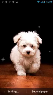 Puppy Live Wallpaper android App screenshot 4